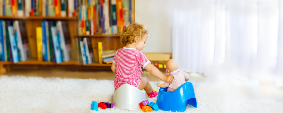 Potty Training 101